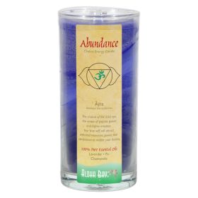 Abundance Scent Chakra Jar Candle by Aloha Bay - 11 OZ