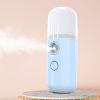 Mini Mist Portable Home Spa Facial Steamer Nebulizer Sprayer