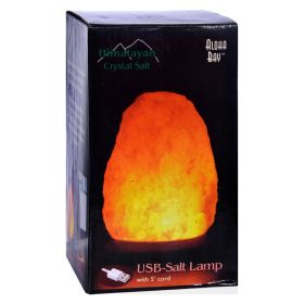 Handcrafted Pure Himalayan Salt Lamp w/ USB Plug - Aloha Bay