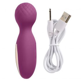 Health & Wellness Rechargeable Flexi Massager by Cloud 9